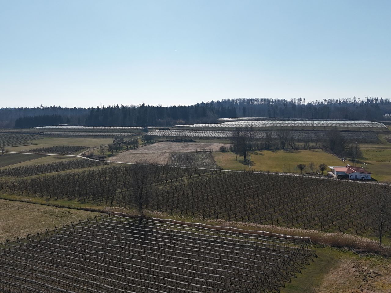 Ausblick ins Grüne